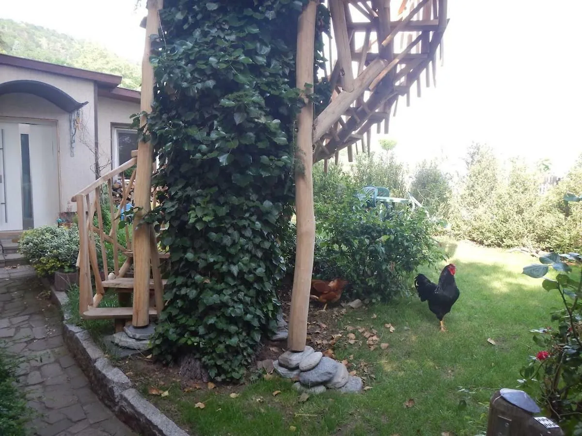 Ferienwohnung TreeHouse_Dresden Deutschland